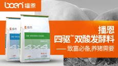 播恩四驱双酸发酵料