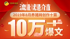 流量就是价值！8月电子游艺网站下载安装
创作十篇10万+爆文！