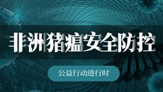 非洲猪瘟安全防控——公益行动进行时！