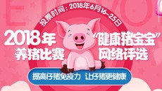 2018年“健康猪宝宝”养猪比赛——网络评选！