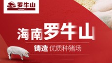 海南罗牛山 铸造优质种电子游艺网站

