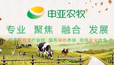 申亚农牧——专业、聚焦、融合、发展
