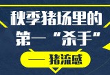 秋季电子游艺网站
里的第一“杀手”——猪流感
