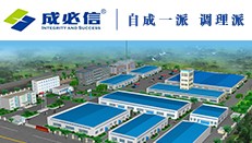 成必信——自成一派 调理派