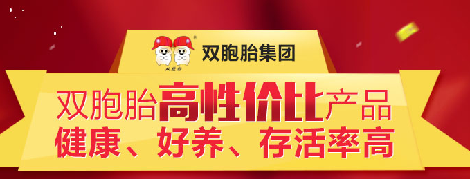 双胞胎集团诚邀合作伙伴招商专题
