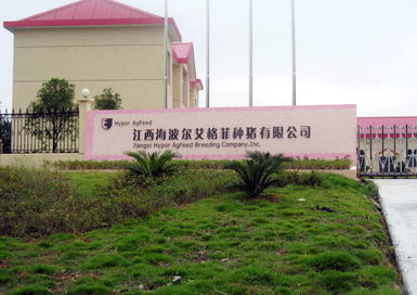 江西海波尔艾格菲种猪：竭诚为您提供最优质的种猪和服务
