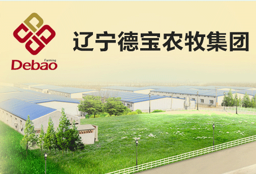 辽宁德宝农牧集团-中国电子游艺网站下载安装
企业专题