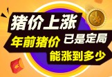猪价上涨已是定局 年前猪价能涨到多少
