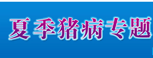 夏季猪病防治_猪病小知识-中国电子游艺网站下载安装
专题