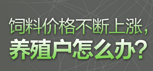 2014饲料价格不断上涨，养殖户怎么办？-中国电子游艺网站下载安装
专题