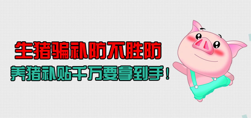 生猪骗补防不胜防 养猪补贴千万要拿到手！