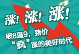 破8逼9，猪价“疯”涨的美好时代