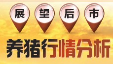 展望后市 2017年养猪前景分析
