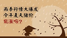 雨季行情大爆发？今年夏天猪价能涨吗