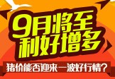  9月将至，利好增多 猪价能否迎来一波好行情？