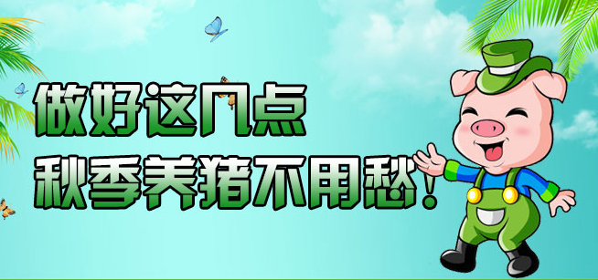 做好这几点 秋季养猪不用愁！