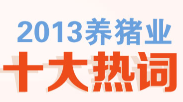专题:2013养猪业十大热词-中国养猪行业门户网站