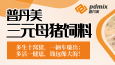 普丹美三元母猪饲料