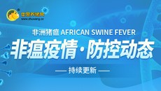 非洲猪瘟疫情防控动态