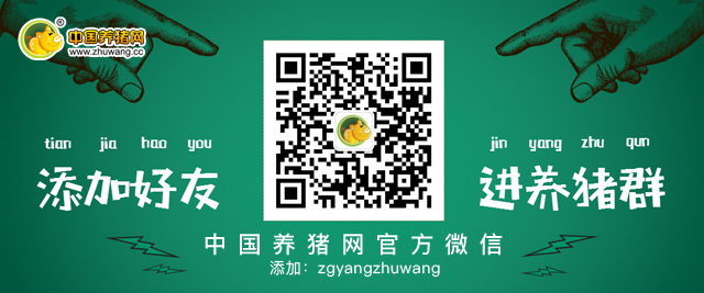 详情