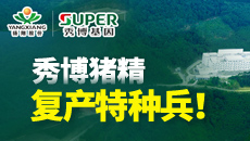 秀博猪精，复产特种兵！