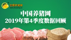 2019年第四季度数据报告