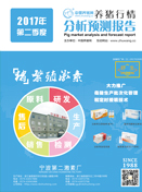 中国电子游艺网站下载安装
