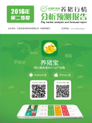 中国电子游艺网站下载安装
