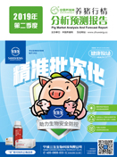 中国电子游艺网站下载安装
