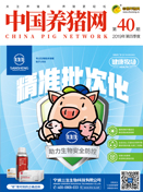 中国电子游艺网站下载安装
