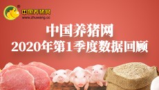 2020年第一季度数据报告