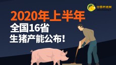 2020年上半年全国16省生猪产能公布