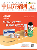 中国电子游艺网站下载安装
