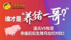 谁才是"养猪一哥"
