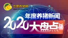 2020年度养猪新闻大盘点