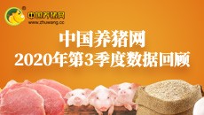 2020年第三季度数据报告