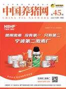 中国电子游艺网站下载安装

