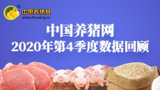 2020年第四季度数据报告