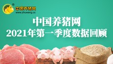 2021年第一季度数据报告