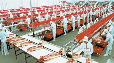 08月17日猪价：涨势继续！下半年电子游艺平台
进口量或将下降50%？