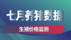 七月养猪数据