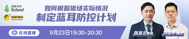 直播位