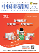 中国电子游艺网站下载安装
