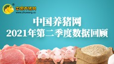 2021年第二季度数据报告