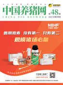 中国电子游艺网站下载安装
