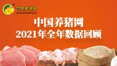 2021年全年数据回顾