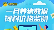 2022年1月养猪数据 饲料价格监测