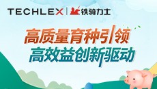 买种猪·到铁骑——高质量育种引领 高效益创新驱动