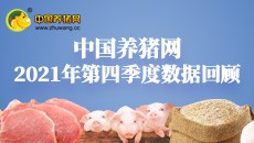 2021年第四季度数据报告