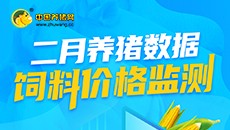 2022年2月养猪数据 饲料价格监测